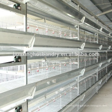 Chicken Use and A and H type chicken houses/chicken cage